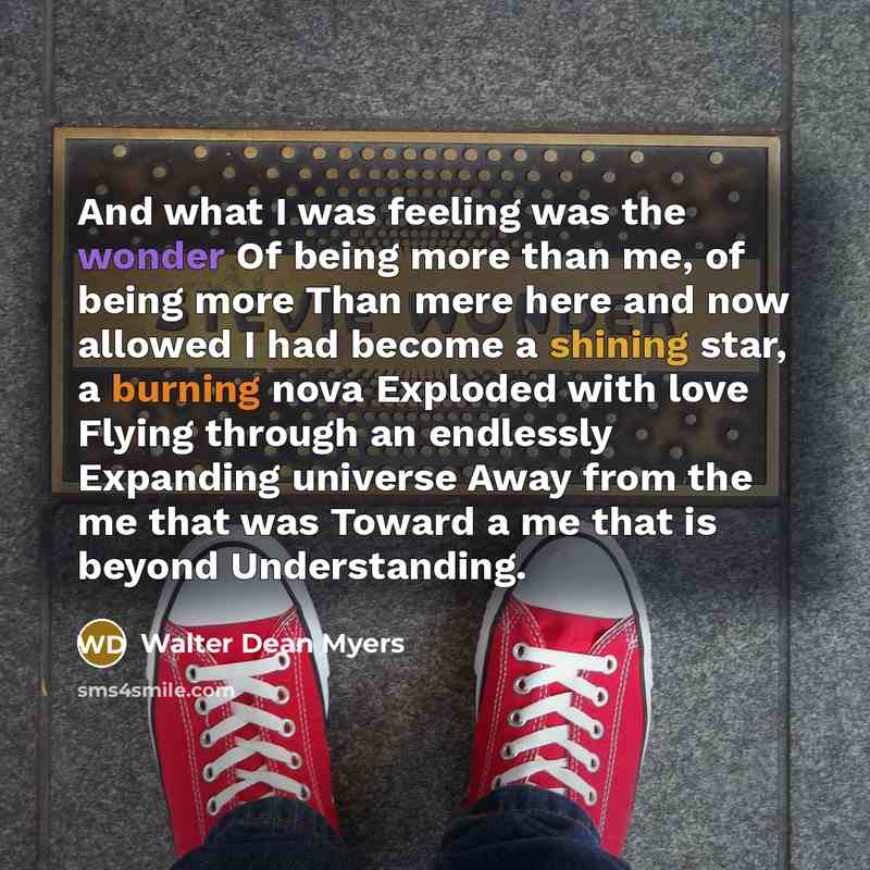 “And what I was feeling was the wonder Of being…” quote by Walter Dean Myers