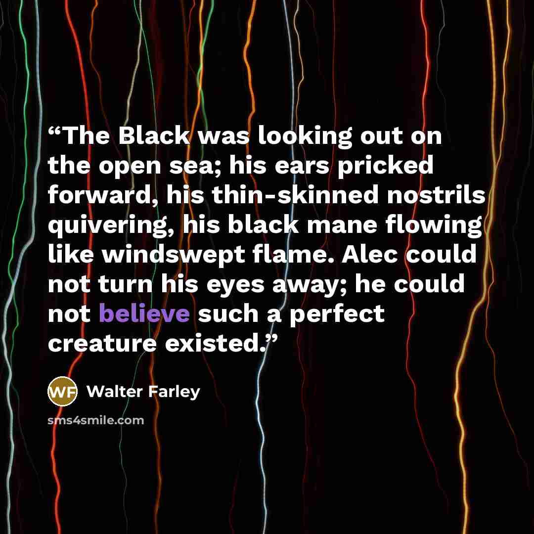 “The Black was looking out on the open sea; his ears pricked forward, his thin-skinned nostrils quivering, his black mane flowing like windswept flame. Alec could not turn his eyes away; he could not believe such a perfect creature existed.” quote by Walter Farley