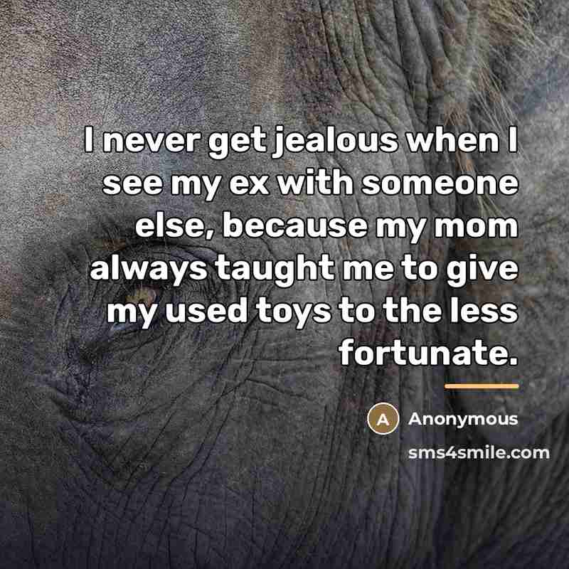 “I never get jealous when I see my ex with…” quote by Anonymous