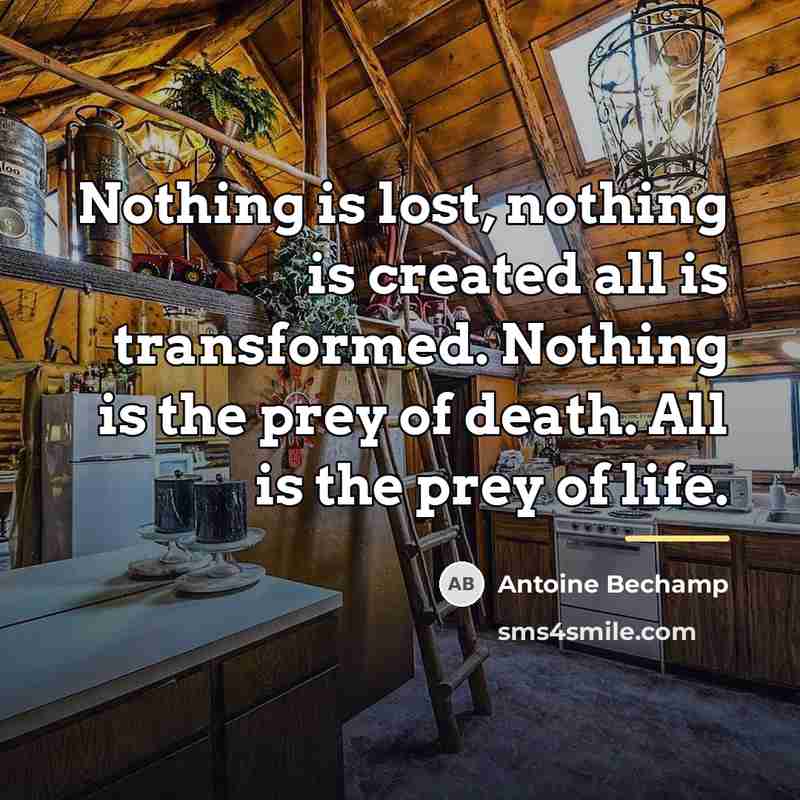 “Nothing is lost, nothing is created all is transformed. Nothing…” quote by Antoine Bechamp