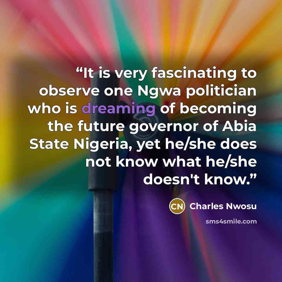 “It is very fascinating to observe one Ngwa politician who is dreaming of becoming the future governor of Abia State Nigeria, yet he/she does not know what he/she doesn't know.” quote by Charles Nwosu