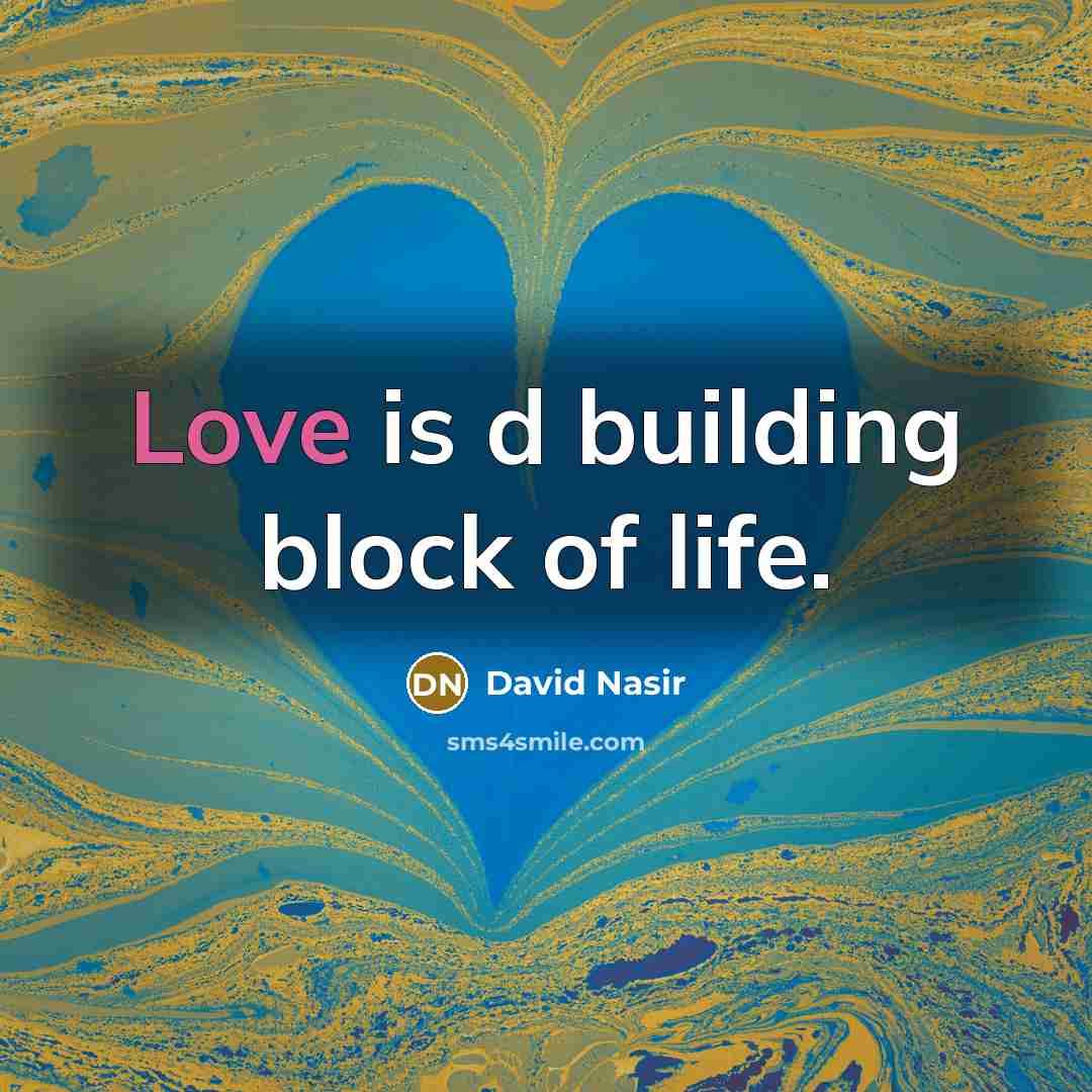 “Love is d building block of life.…” quote by David Nasir