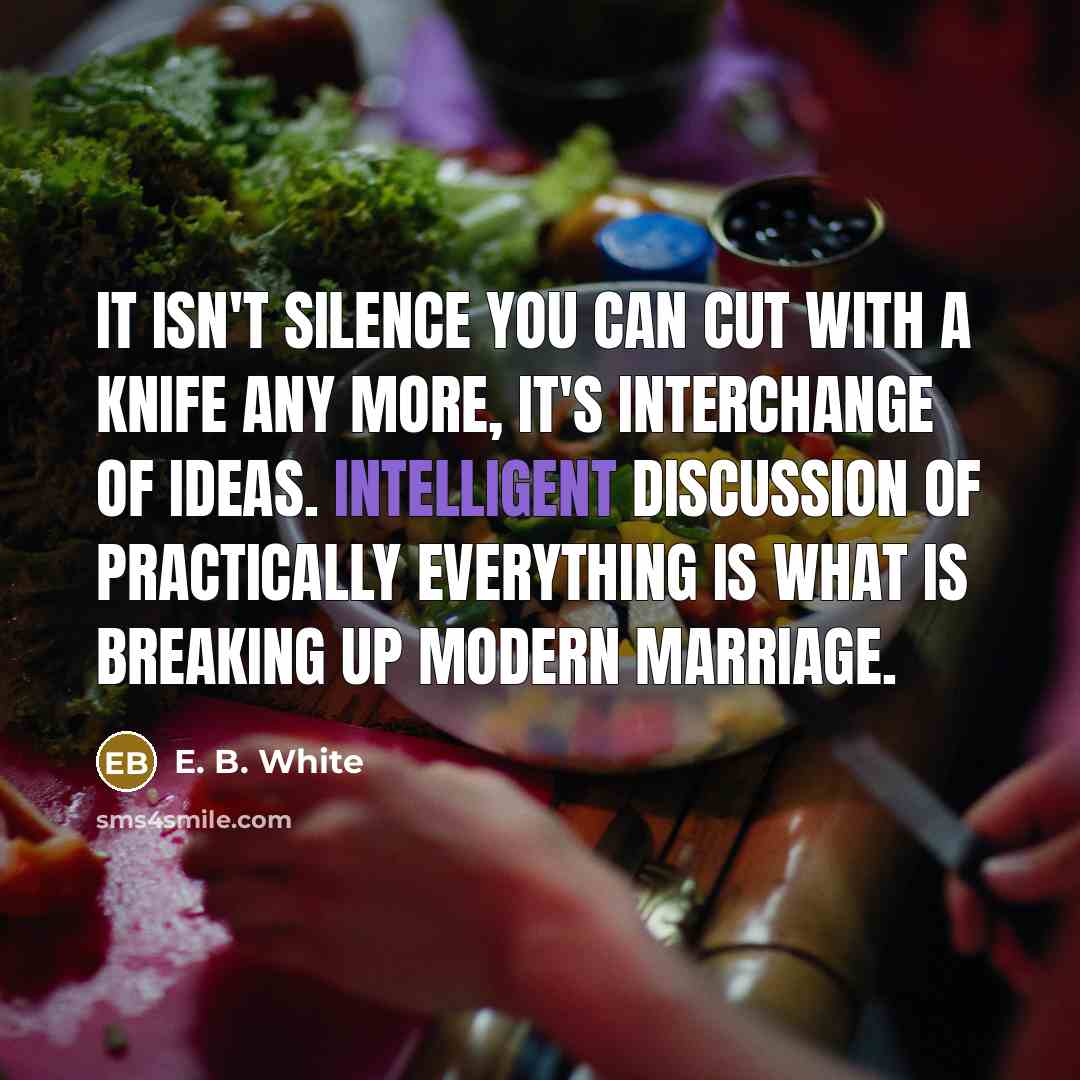 “It isn't silence you can cut with a knife any…” quote by E. B. White