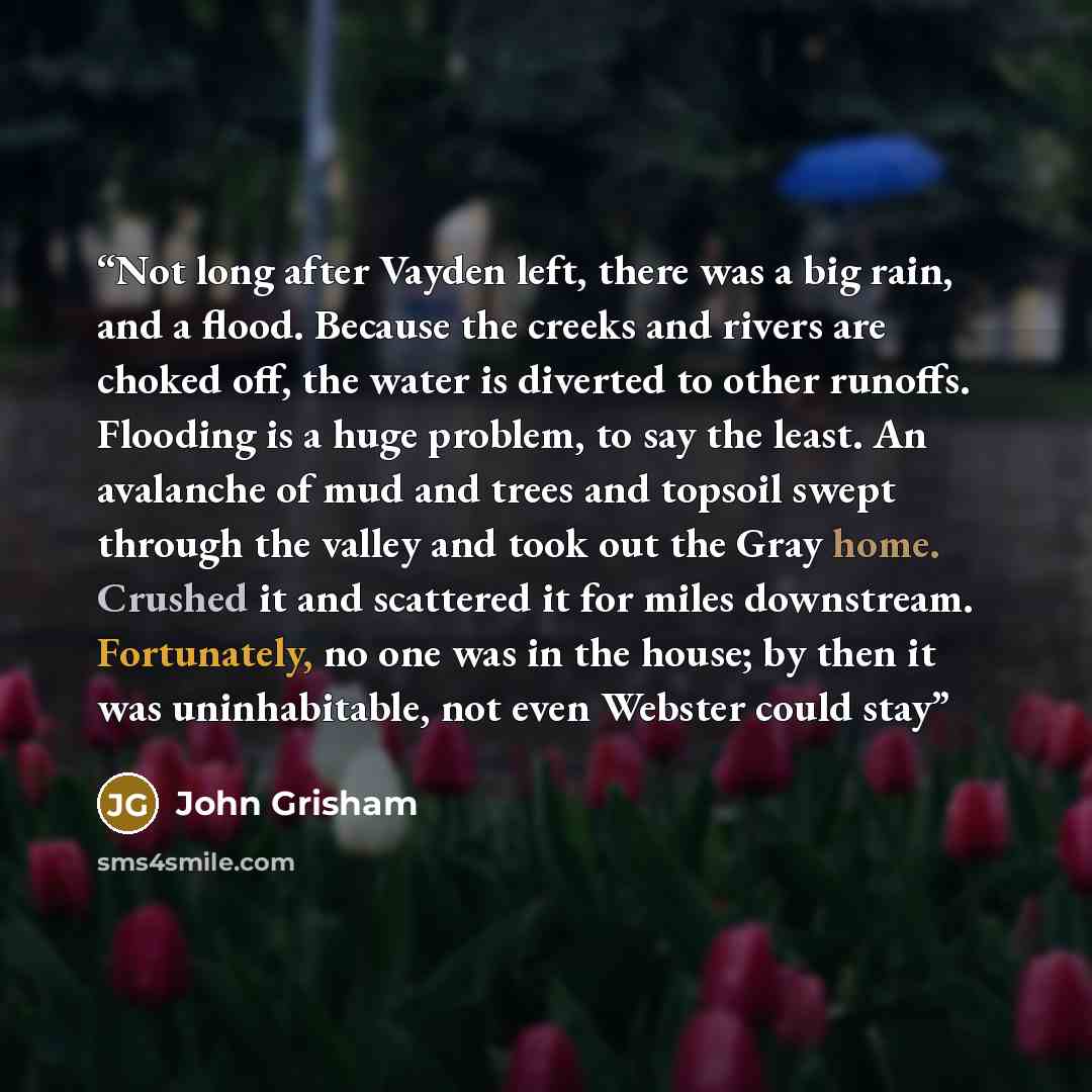 “Not long after Vayden left, there was a big rain, and a flood. Because the creeks and rivers are choked off, the water is diverted to other runoffs. Flooding is a huge problem, to say the least. An avalanche of mud and trees and topsoil swept through the valley and took out the Gray home. Crushed…” quote by John Grisham