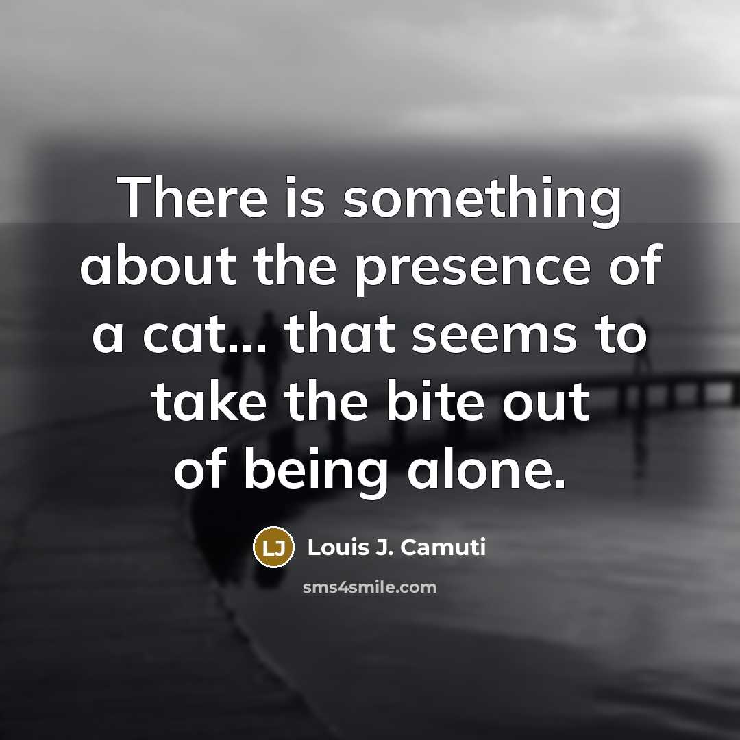 “There is something about the presence of a cat... that…” quote by Louis J. Camuti