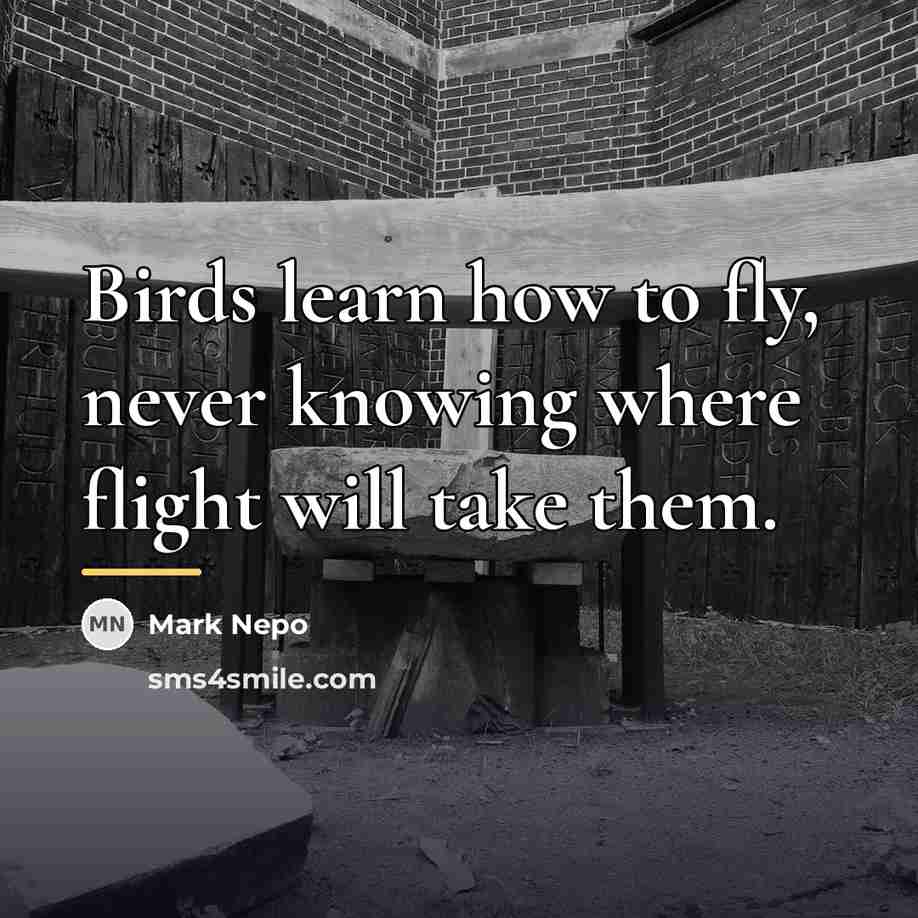 “Birds learn how to fly, never knowing where flight will…” quote by Mark Nepo
