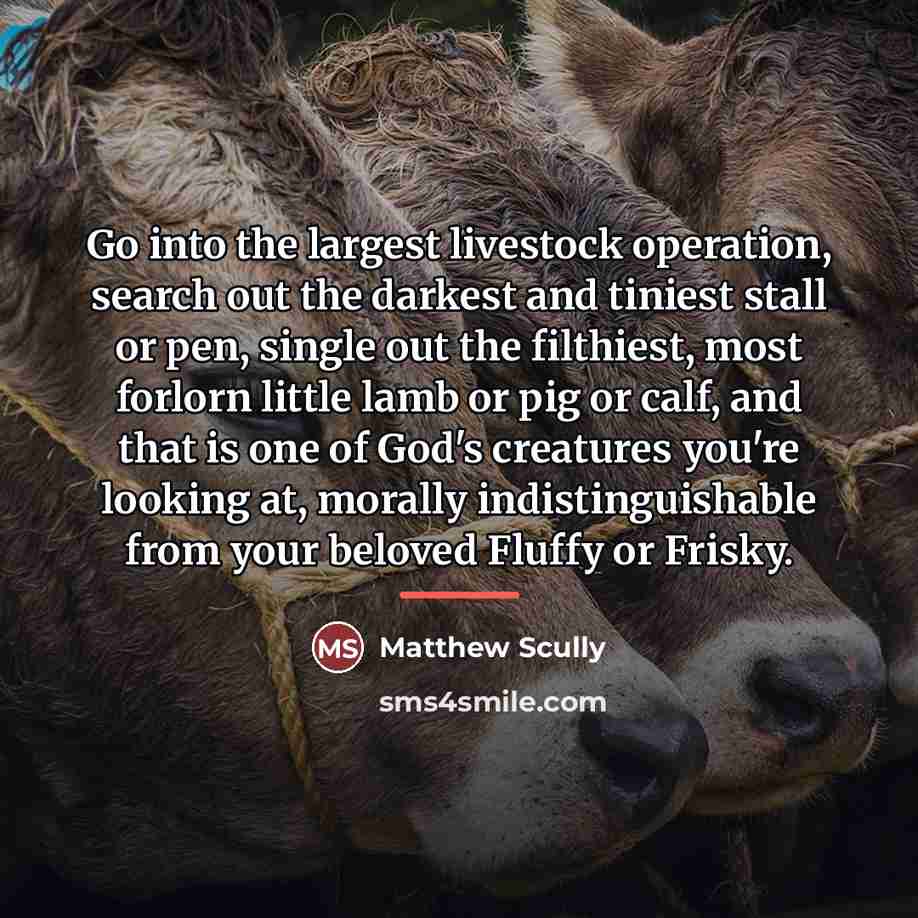 “Go into the largest livestock operation, search out the darkest…” quote by Matthew Scully