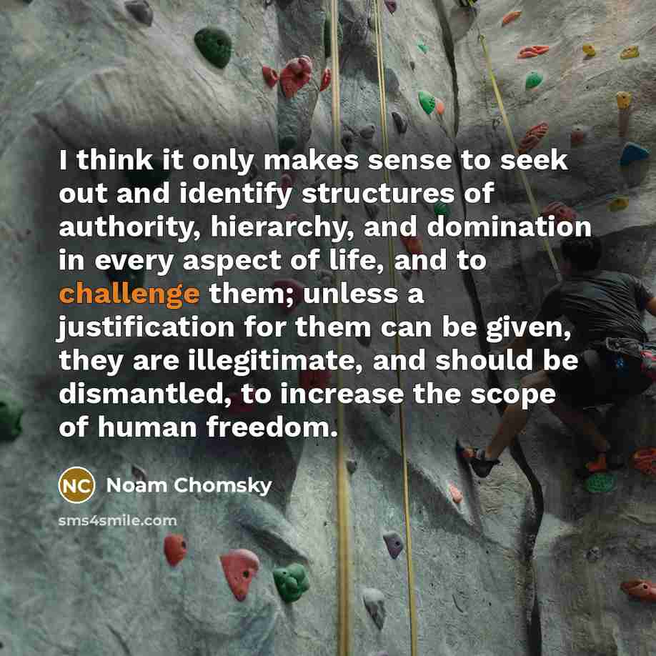 “I think it only makes sense to seek out and…” quote by Noam Chomsky