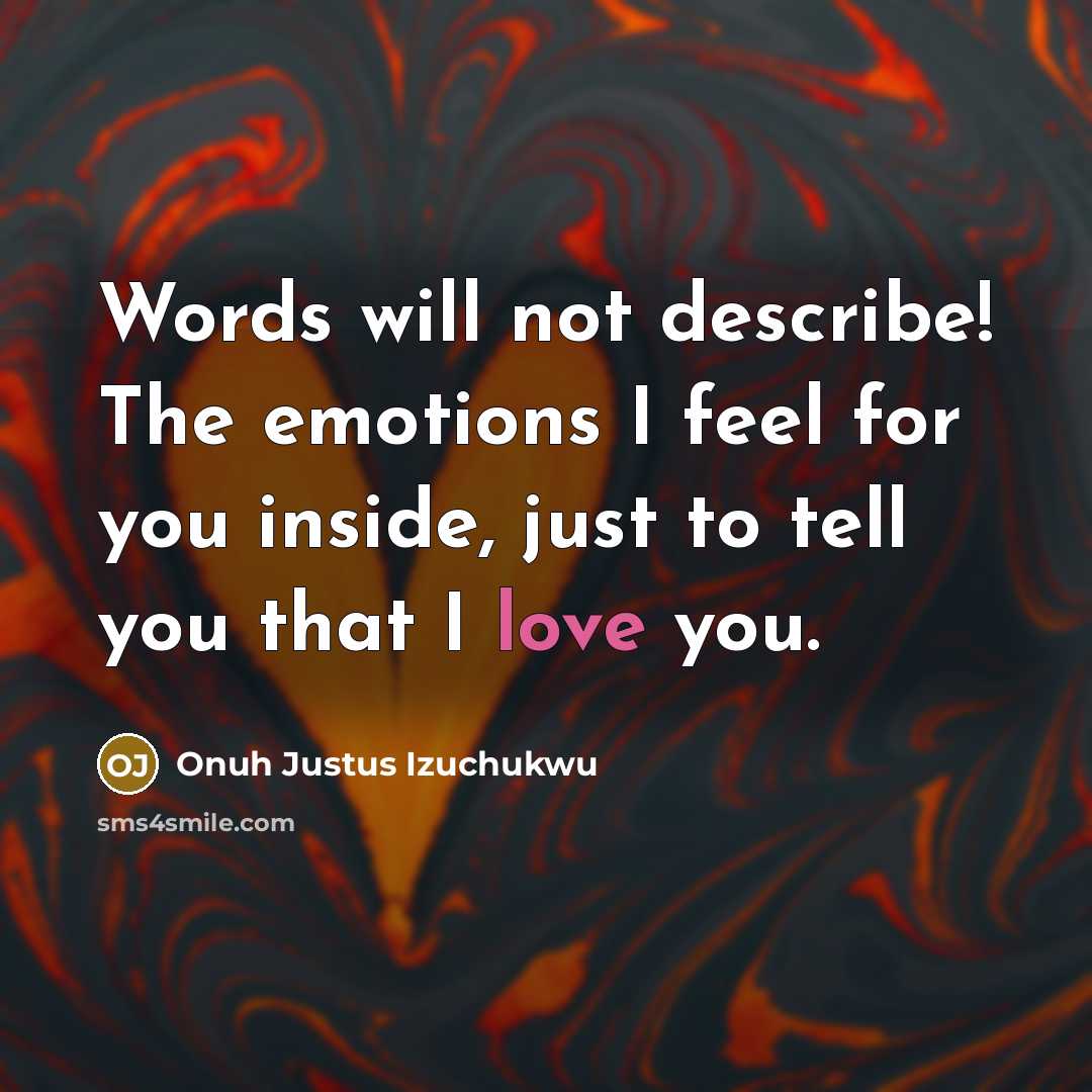 “Words will not describe! The emotions I feel for you inside, just to tell you that I love you.” quote by Onuh Justus Izuchukwu