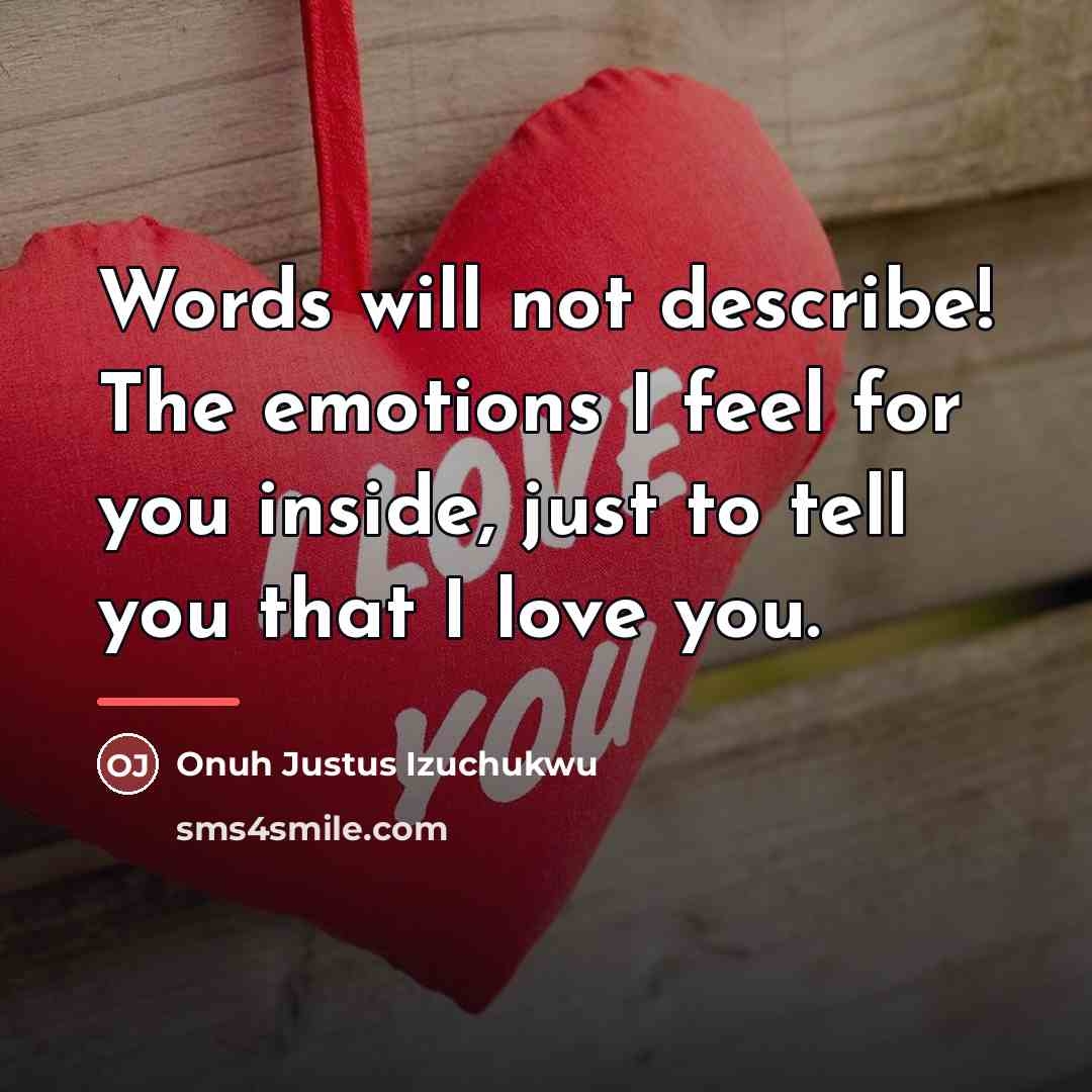 “Words will not describe! The emotions I feel for you…” quote by Onuh Justus Izuchukwu