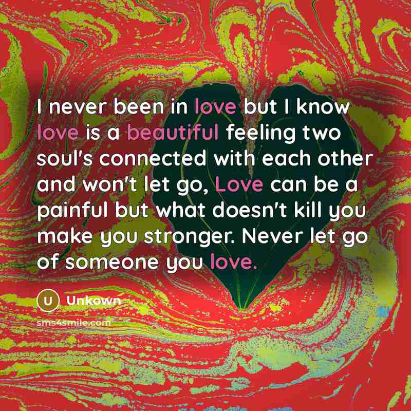 “I never been in love but I know love is a beautiful feeling two soul's connected with each other and won't let go, Love can be a painful but what doesn't kill you make you stronger. Never let go of someone you love.” quote by Unkown