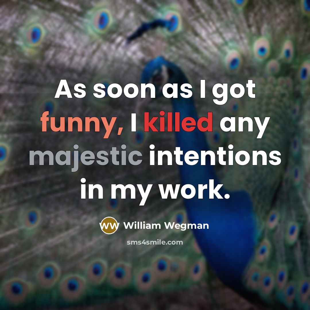 “As soon as I got funny, I killed any majestic intentions in my work.” quote by William Wegman