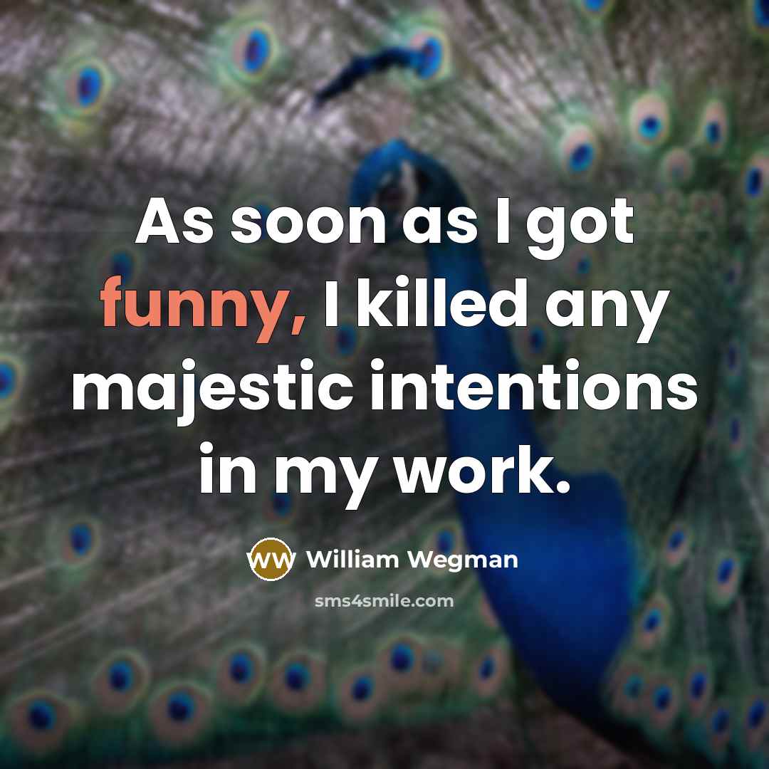 “As soon as I got funny, I killed any majestic…” quote by William Wegman