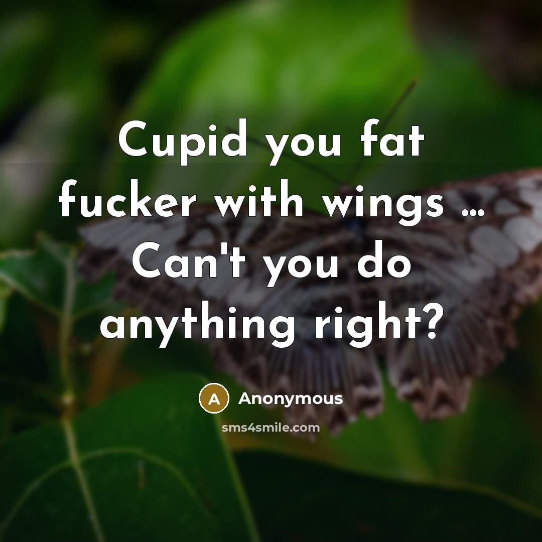 “Cupid you fat fucker with wings ... Can't you do anything right?” quote by Anonymous
