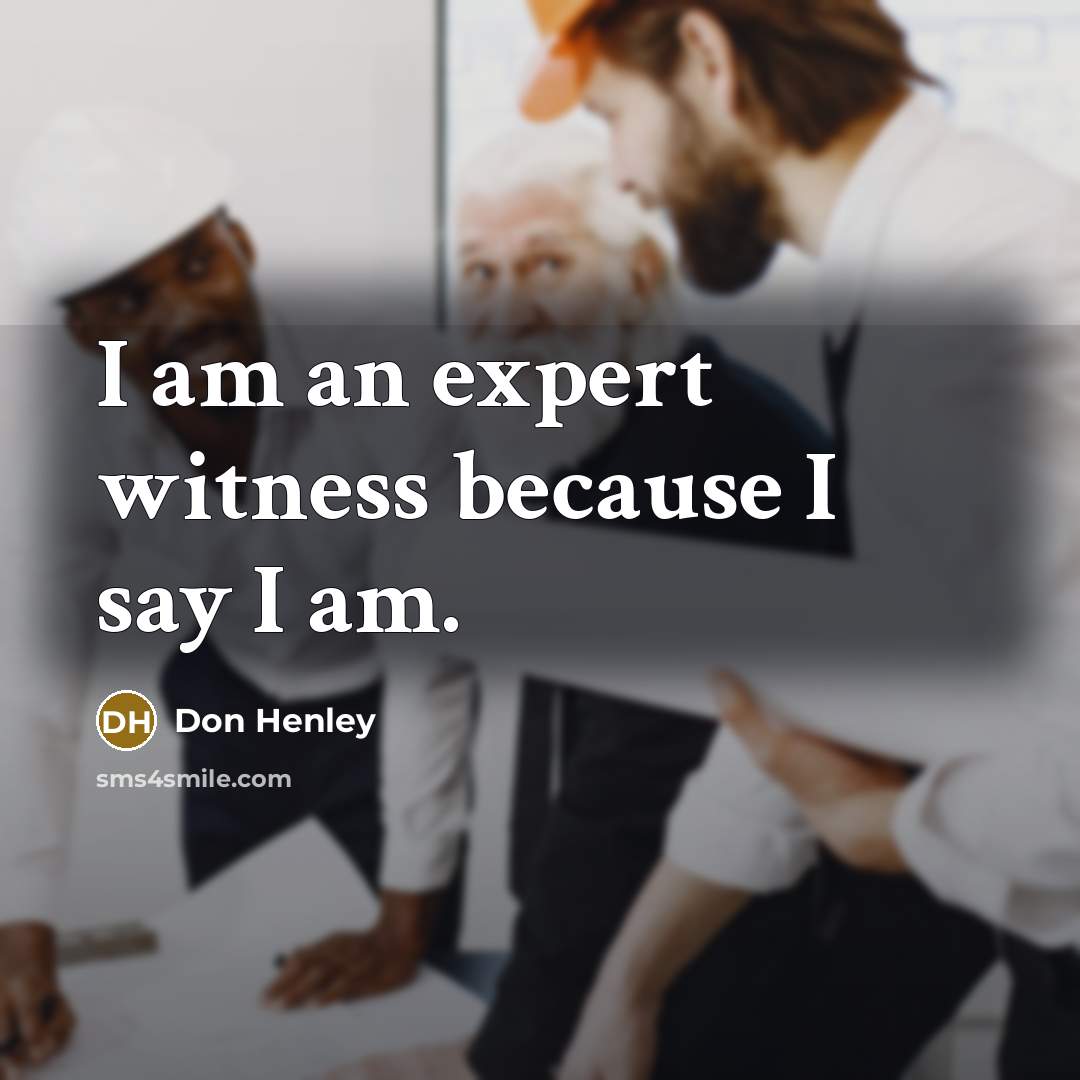 “I am an expert witness because I say I am.…” quote by Don Henley