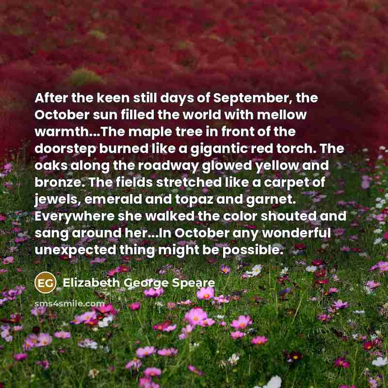 “After the keen still days of September, the October sun…” quote by Elizabeth George Speare