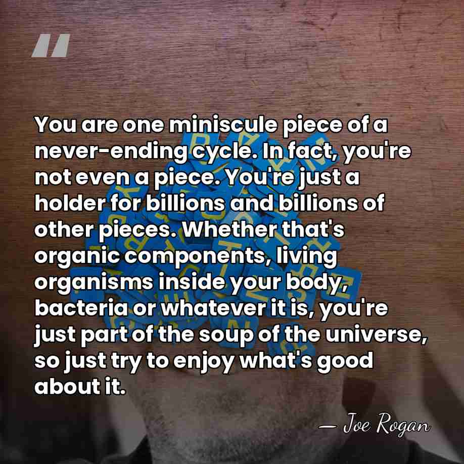 You are one miniscule piece of a never-ending cycle. In fact, you're&hellip; - Joe Rogan