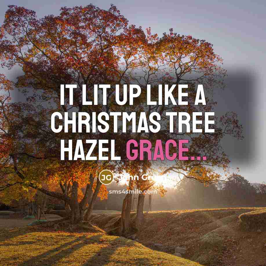 “It lit up like a Christmas Tree Hazel Grace...…” quote by John Green