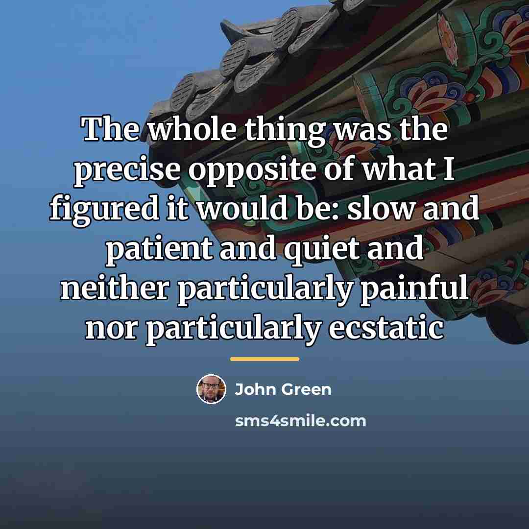 “The whole thing was the precise opposite of what I…” quote by John Green