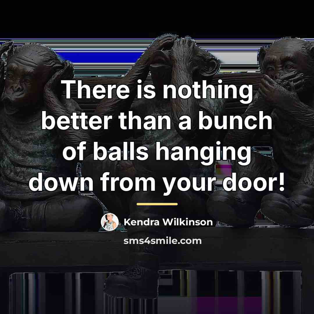 “There is nothing better than a bunch of balls hanging…” quote by Kendra Wilkinson