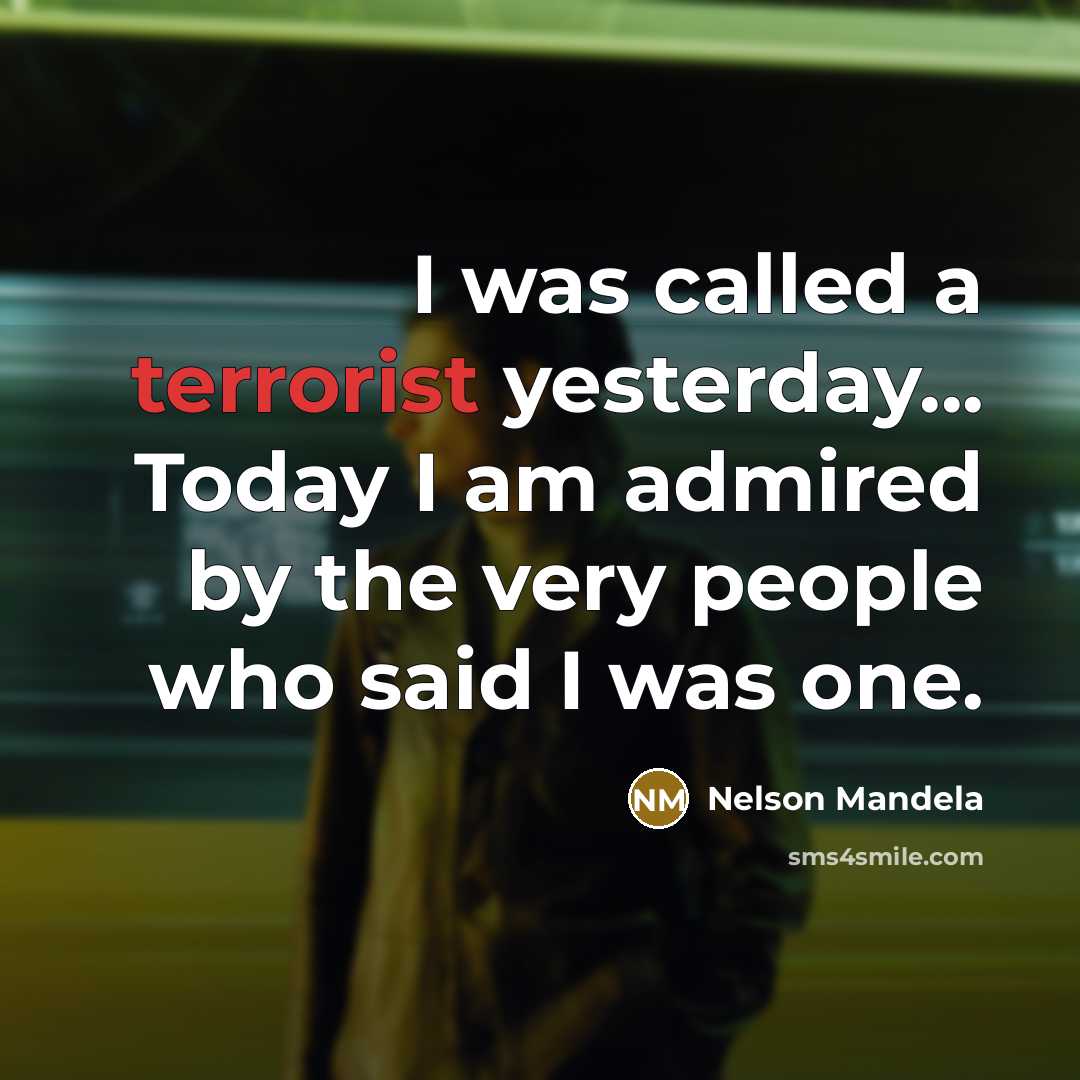 “I was called a terrorist yesterday... Today I am admired…” quote by Nelson Mandela