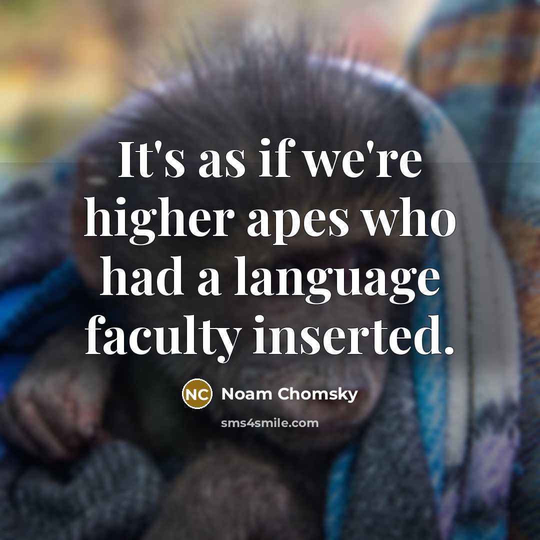 “It's as if we're higher apes who had a language…” quote by Noam Chomsky