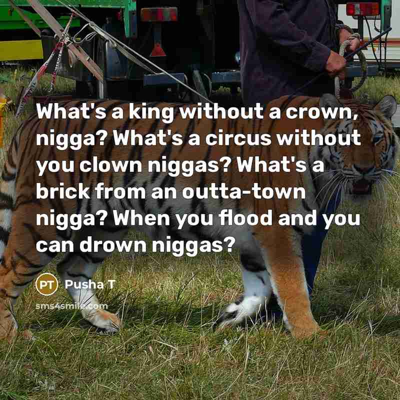 “What's a king without a crown, nigga? What's a circus…” quote by Pusha T