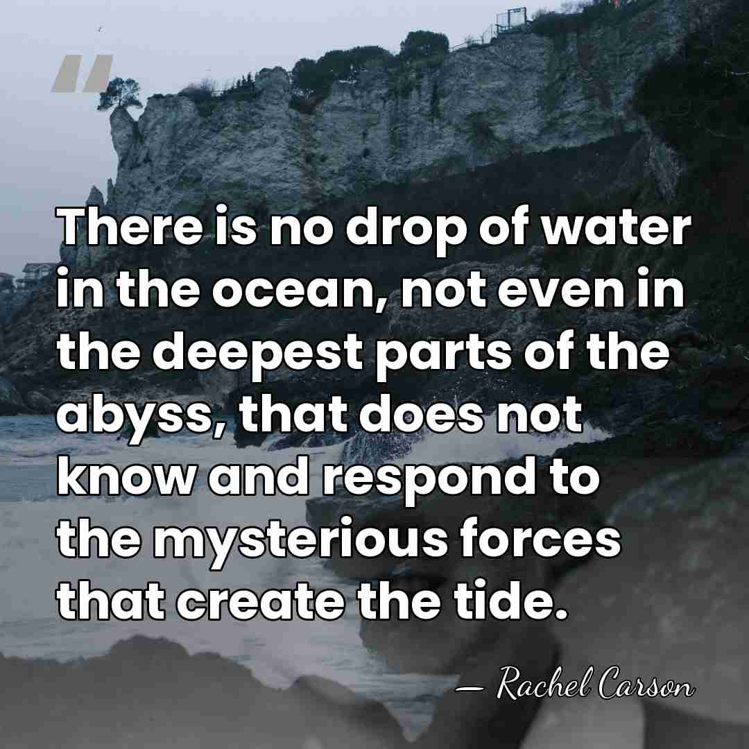 There is no drop of water in the ocean, not even in&hellip; - Rachel Carson