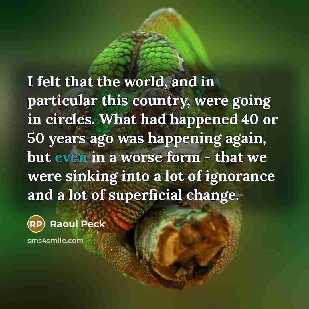 “I felt that the world, and in particular this country,…” quote by Raoul Peck