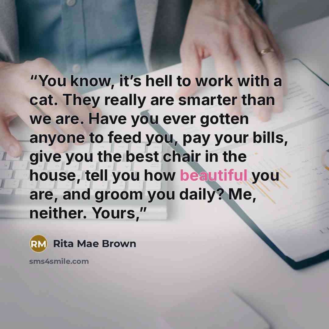 “You know, it’s hell to work with a cat. They really are smarter than we are. Have you ever gotten anyone to feed you, pay your bills, give you the best chair in the house, tell you how beautiful you are, and groom you daily? Me, neither. Yours,” quote by Rita Mae Brown