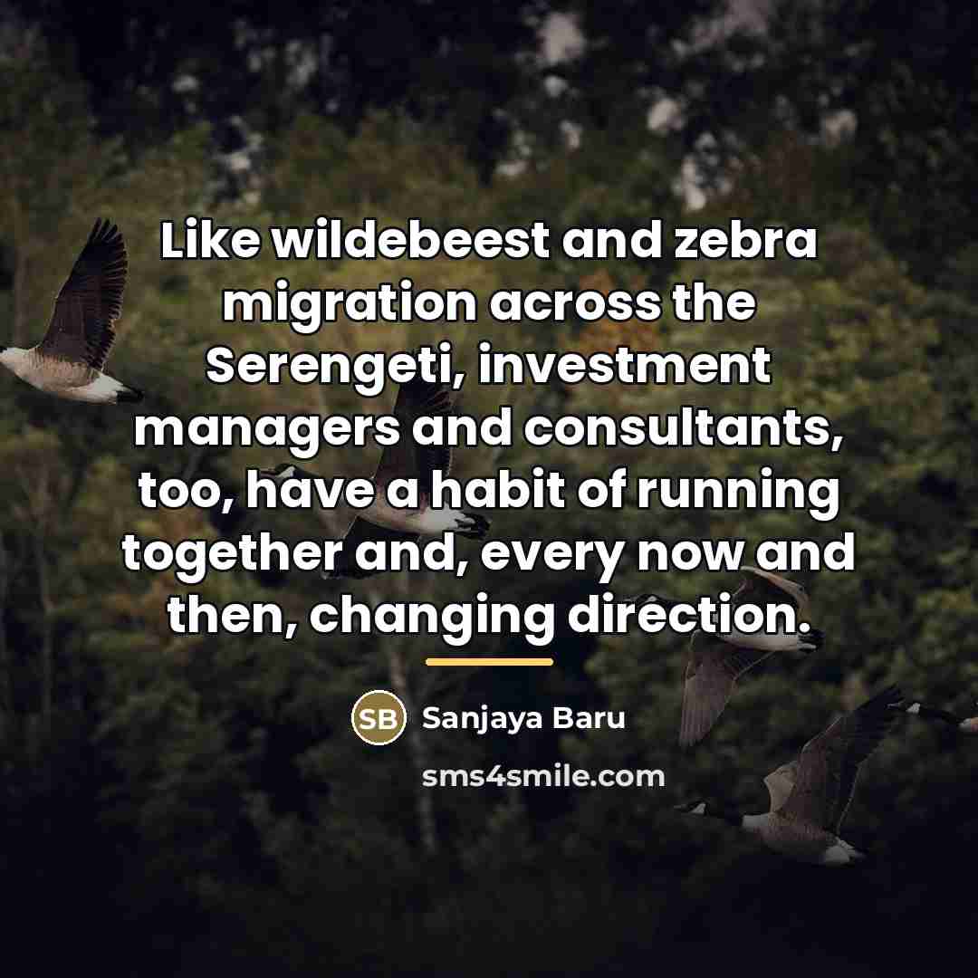 “Like wildebeest and zebra migration across the Serengeti, investment managers…” quote by Sanjaya Baru