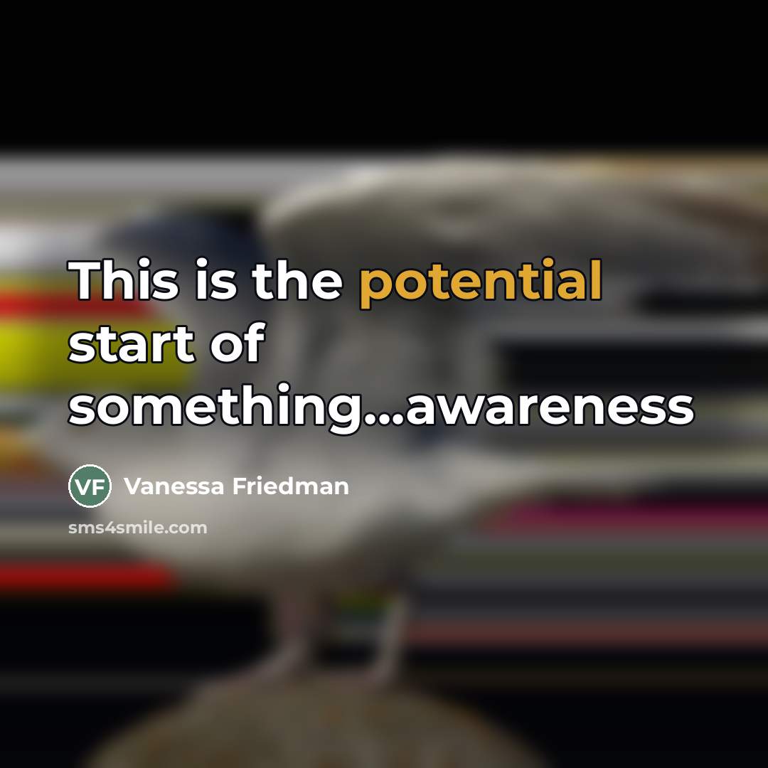 “This is the potential start of something...awareness…” quote by Vanessa Friedman