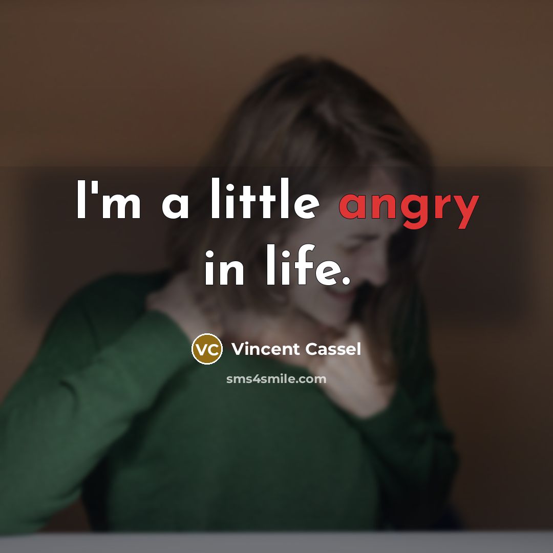 “I'm a little angry in life.…” quote by Vincent Cassel