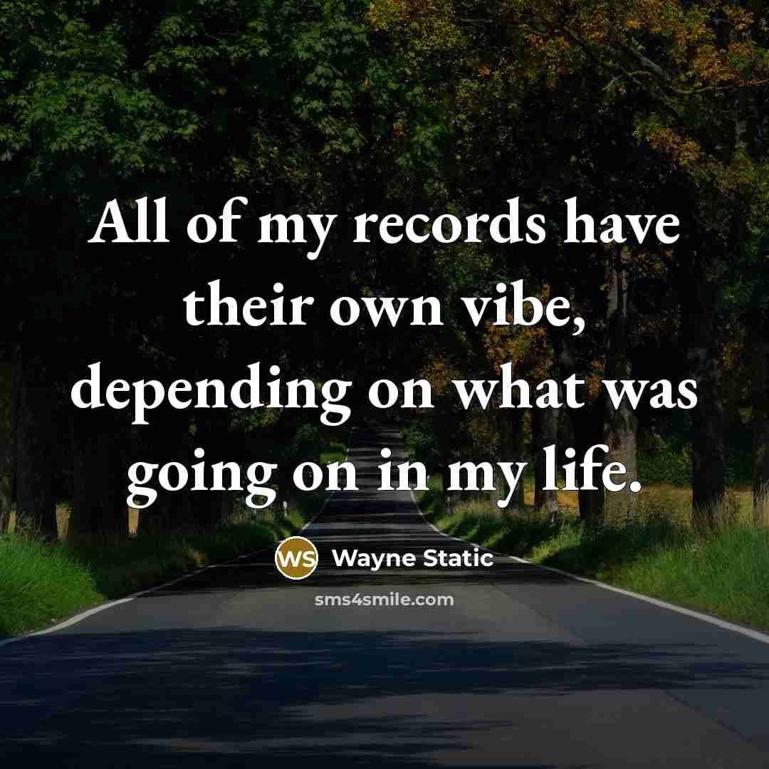 “All of my records have their own vibe, depending on…” quote by Wayne Static