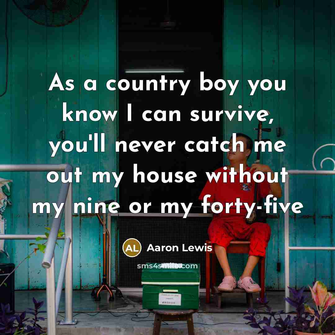 “As a country boy you know I can survive, you'll…” quote by Aaron Lewis