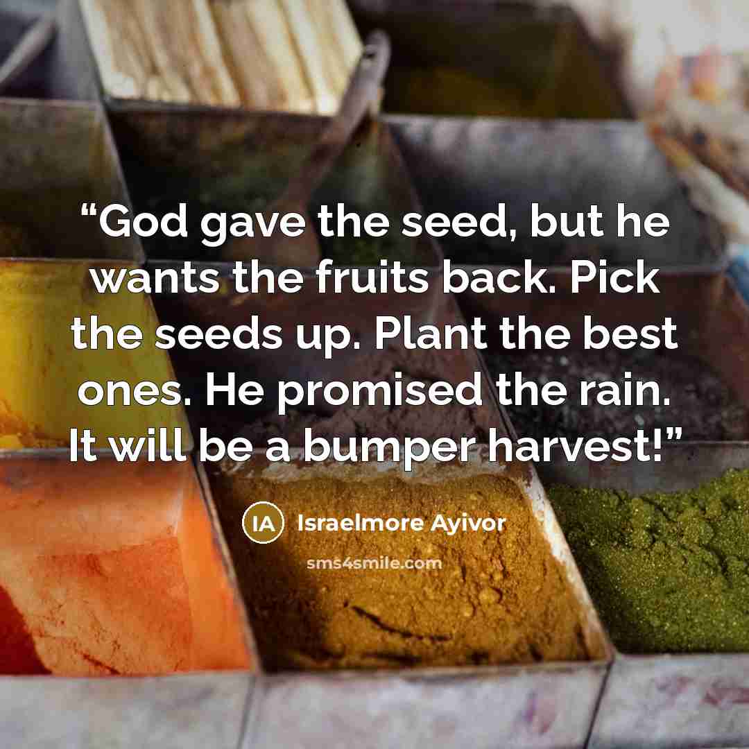“God gave the seed, but he wants the fruits back. Pick the seeds up. Plant the best ones. He promised the rain. It will be a bumper harvest!” quote by Israelmore Ayivor