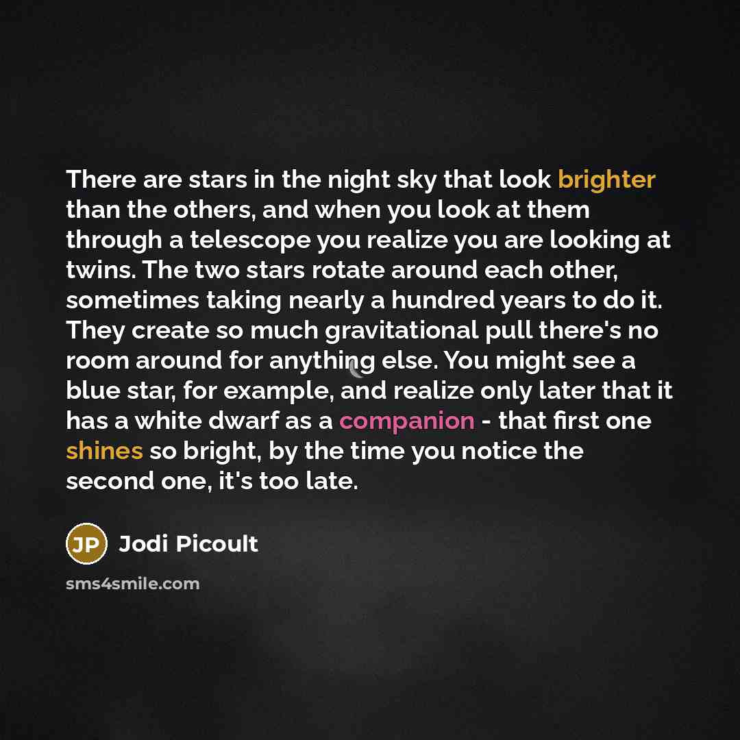 “There are stars in the night sky that look brighter…” quote by Jodi Picoult