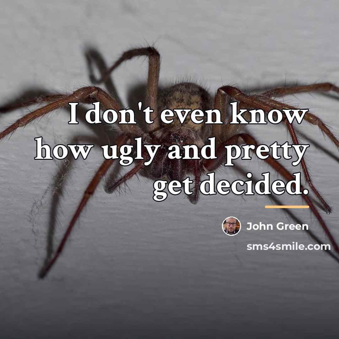 “I don't even know how ugly and pretty get decided.…” quote by John Green
