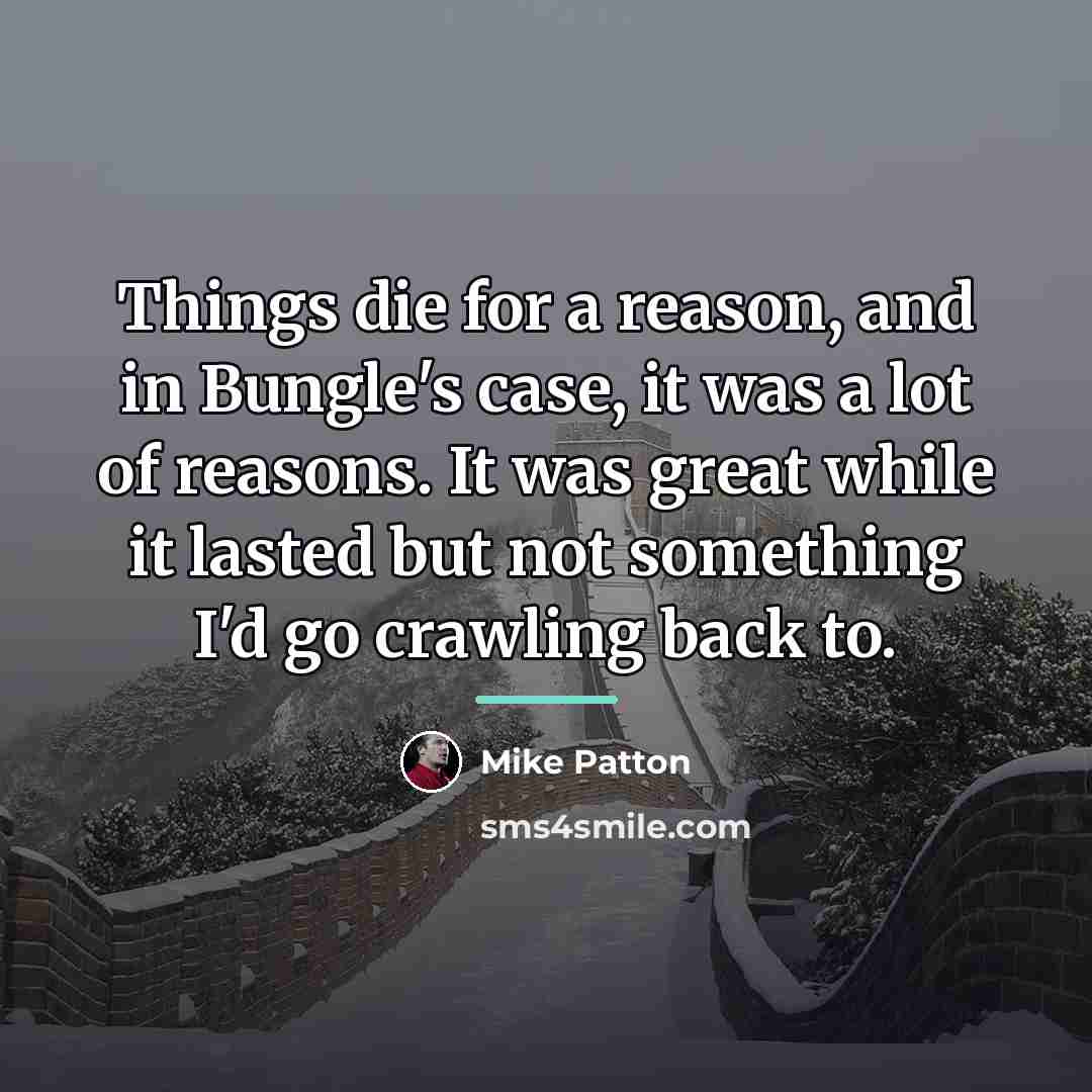 “Things die for a reason, and in Bungle's case, it…” quote by Mike Patton