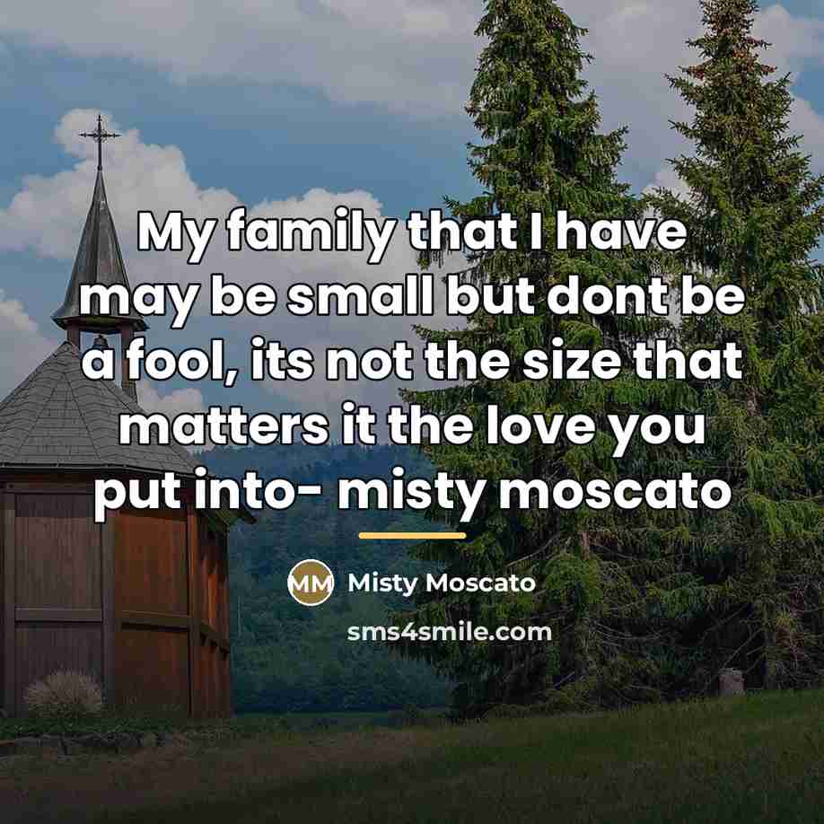 “My family that I have may be small but dont…” quote by Misty Moscato