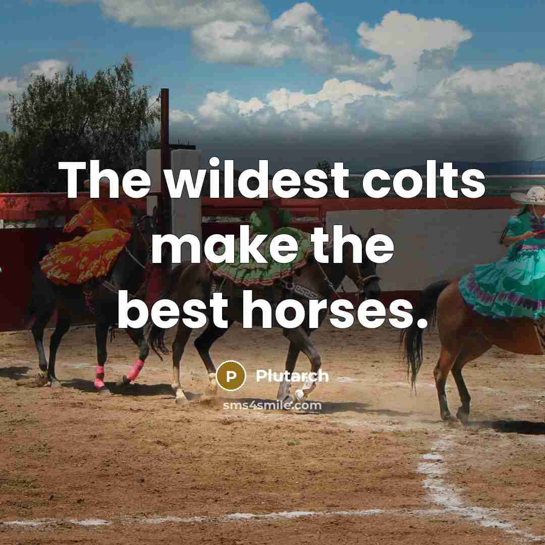 “The wildest colts make the best horses.…” quote by Plutarch