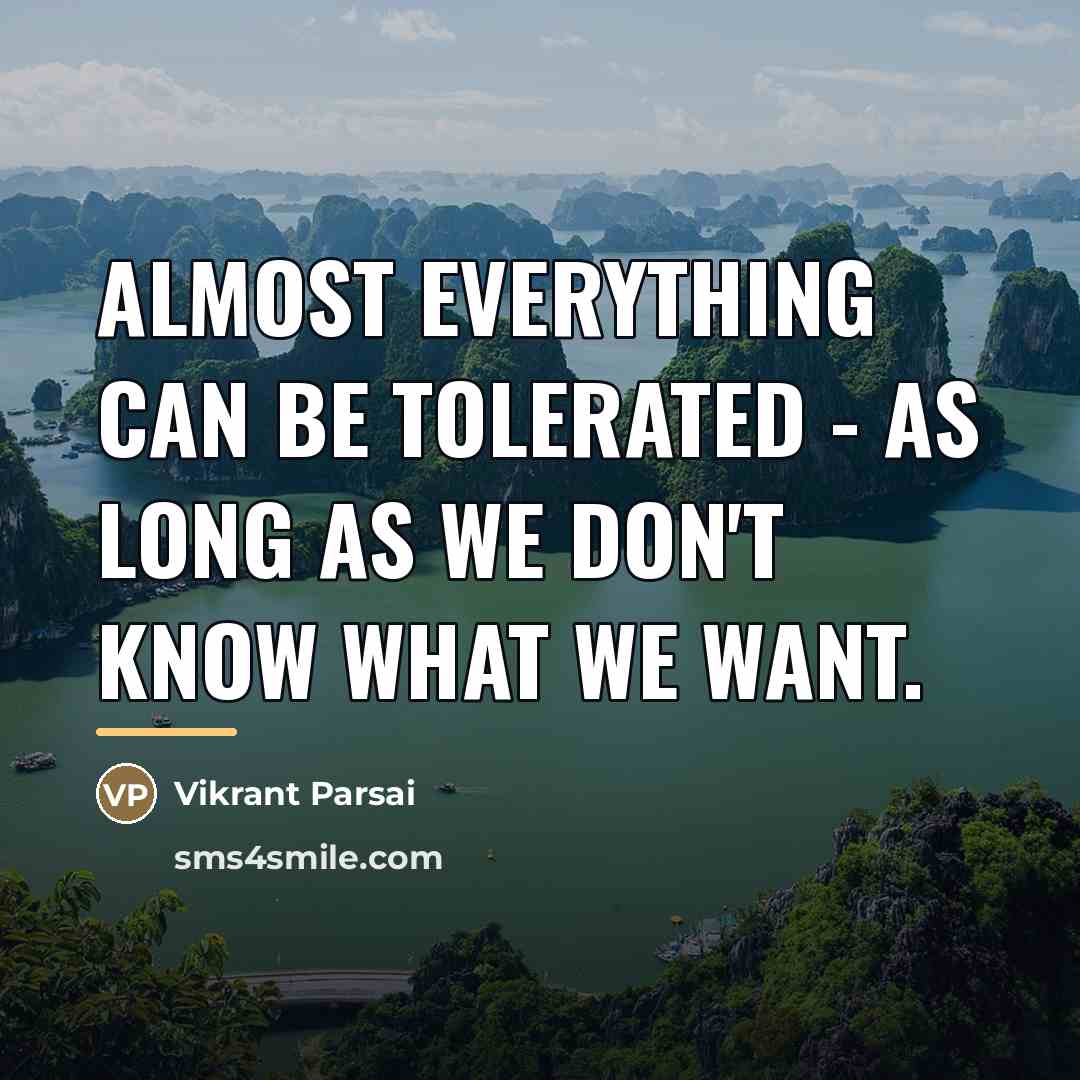“Almost everything can be tolerated - as long as we…” quote by Vikrant Parsai