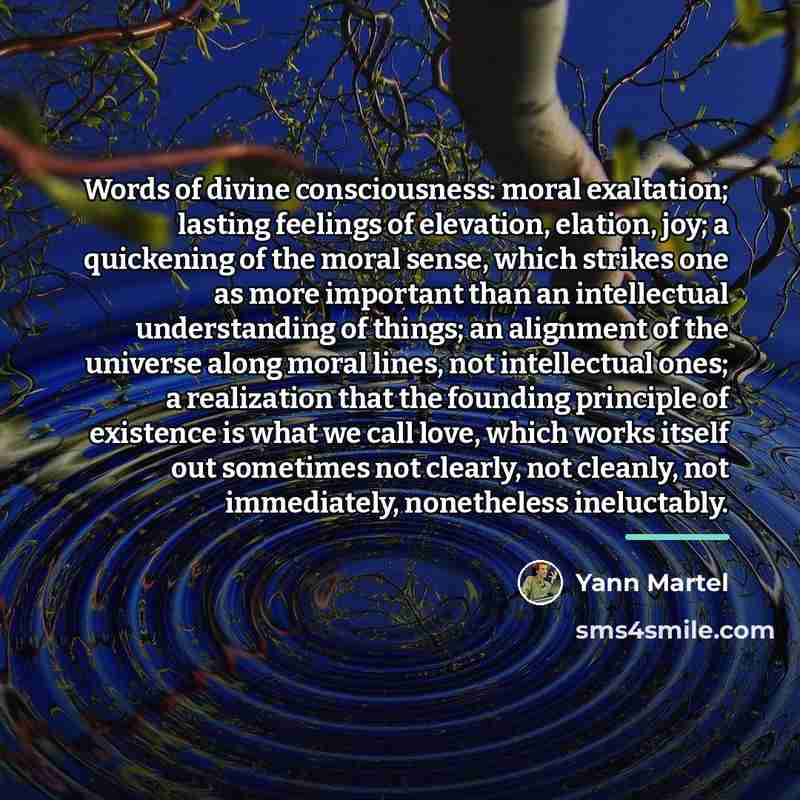 “Words of divine consciousness: moral exaltation; lasting feelings of elevation,…” quote by Yann Martel