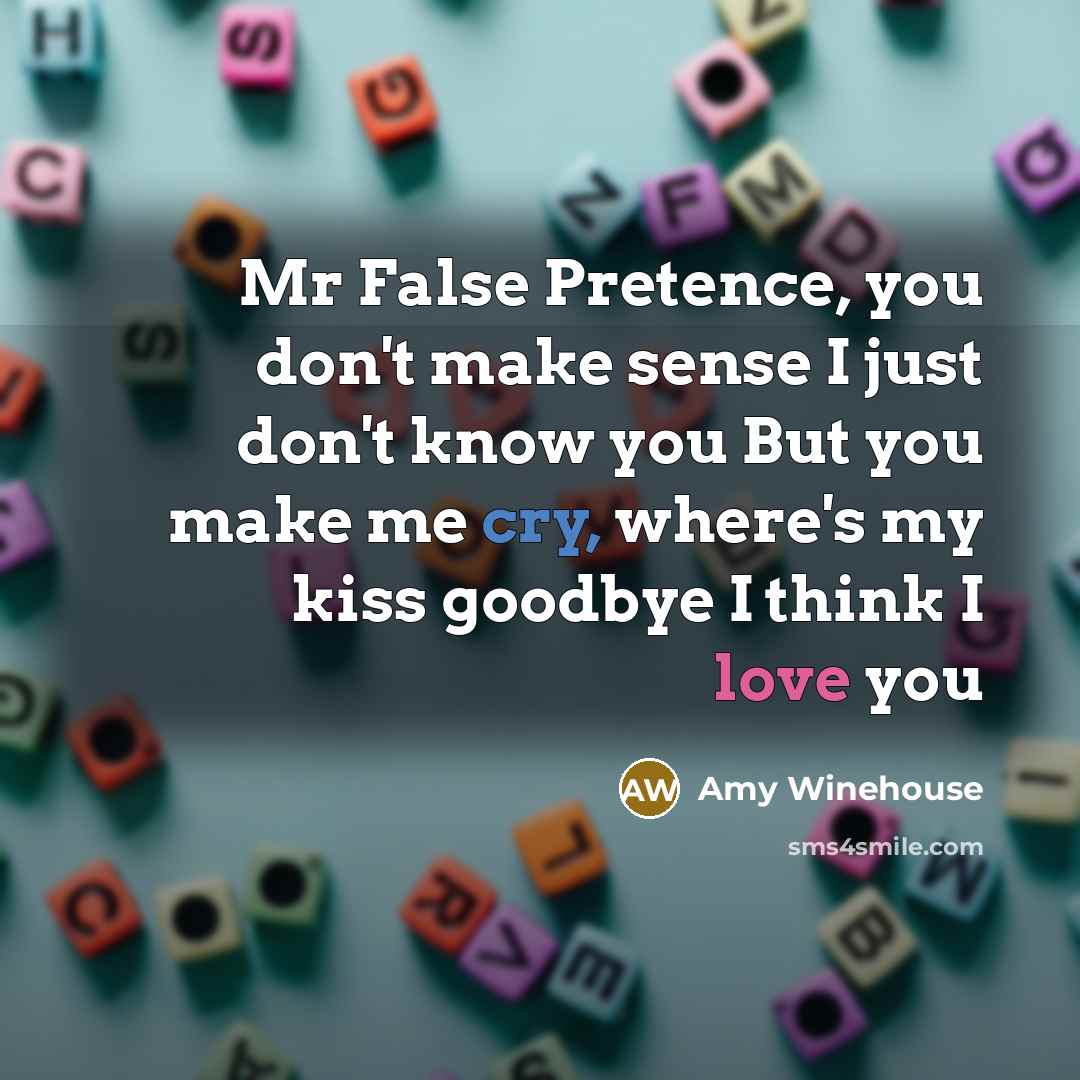 “Mr False Pretence, you don't make sense I just don't…” quote by Amy Winehouse