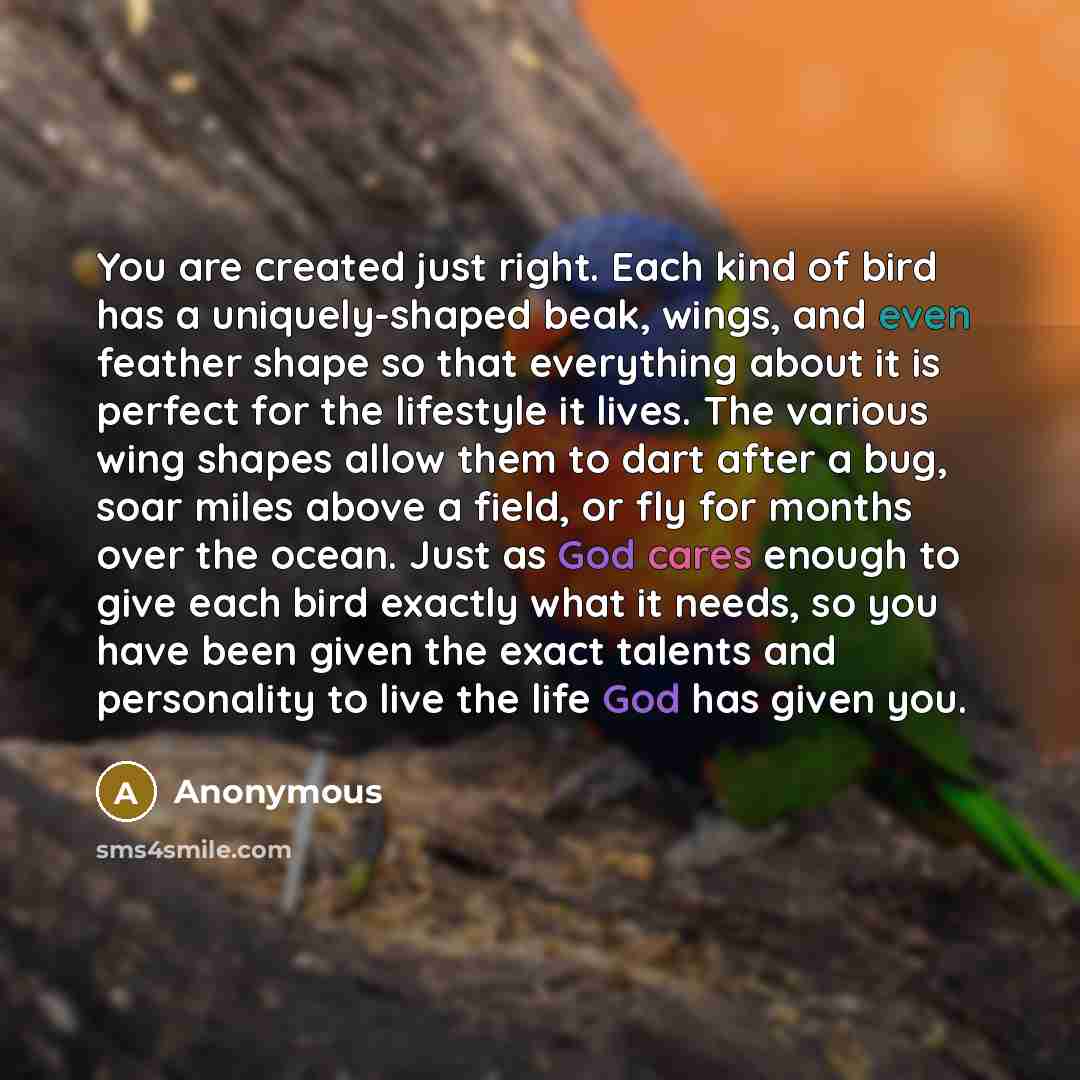 “You are created just right. Each kind of bird has a uniquely-shaped beak, wings, and even feather shape so that everything about it is perfect for the lifestyle it lives. The various wing shapes allow them to dart after a bug, soar miles above a field, or fly for months over the ocean. Just as God…” quote by Anonymous