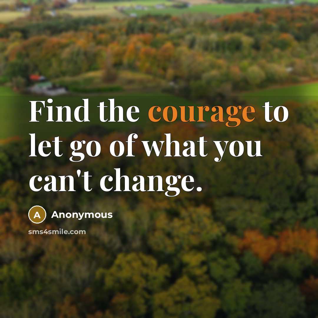 “Find the courage to let go of what you can't…” quote by Anonymous
