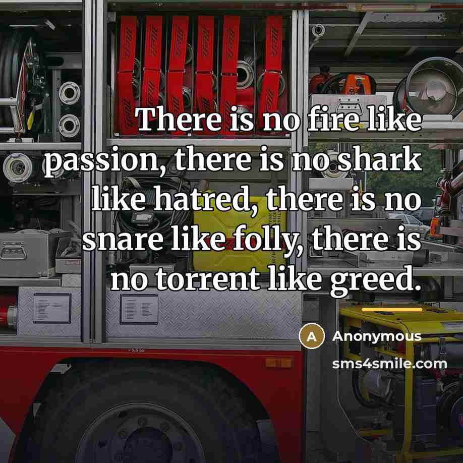 “There is no fire like passion, there is no shark…” quote by Anonymous