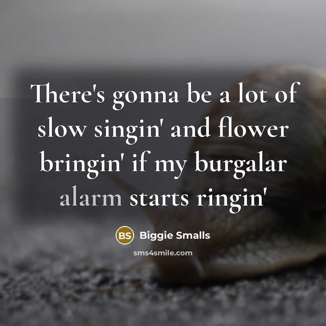 “There's gonna be a lot of slow singin' and flower bringin' if my burgalar alarm starts ringin'” quote by Biggie Smalls