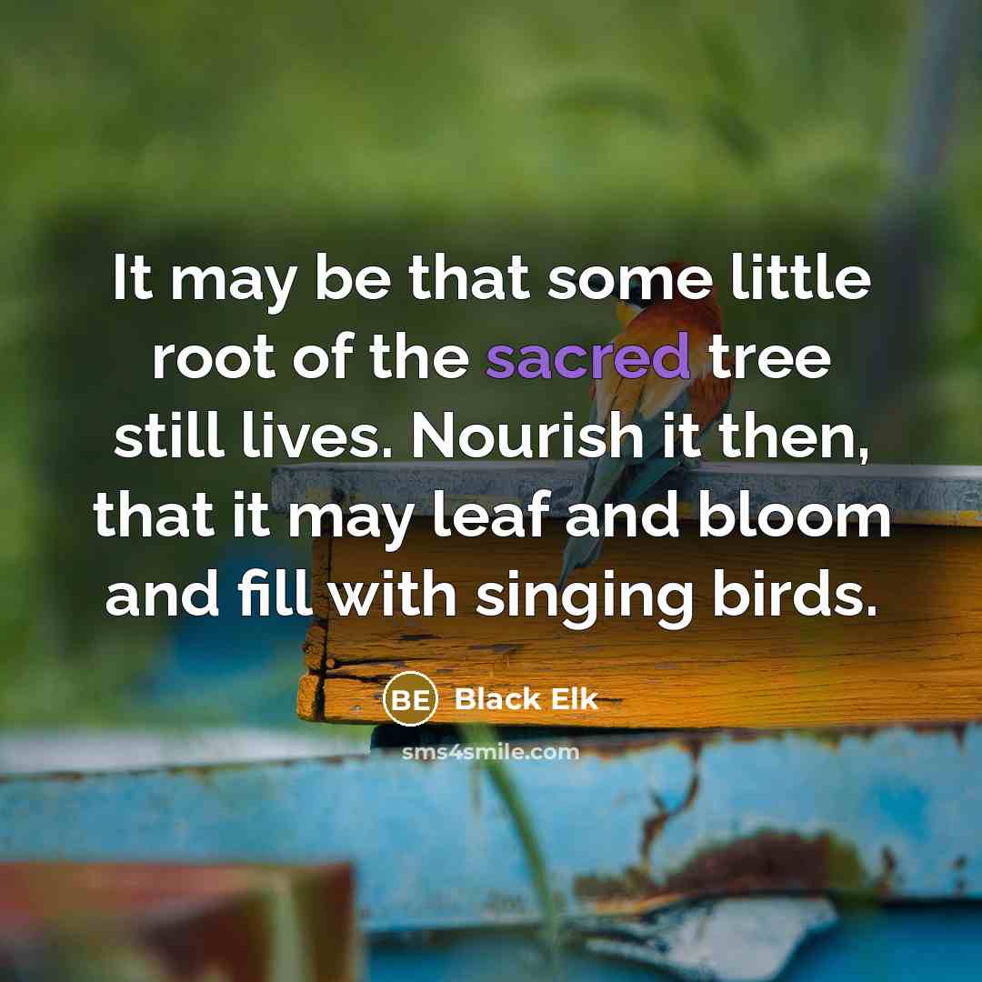 “It may be that some little root of the sacred…” quote by Black Elk