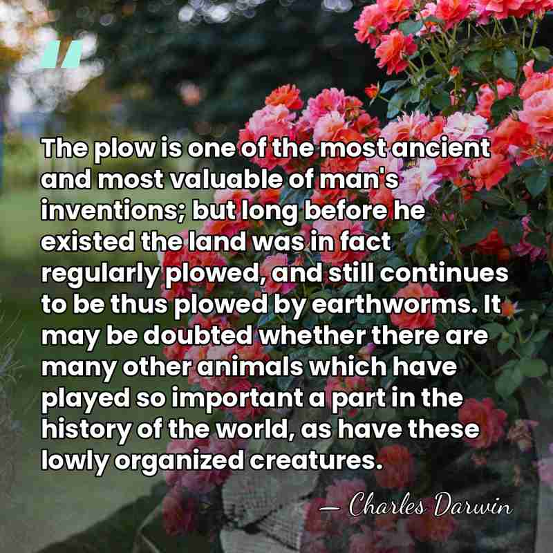 The plow is one of the most ancient and most valuable of&hellip; - Charles Darwin